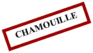 Zone de Texte: CHAMOUILLE
